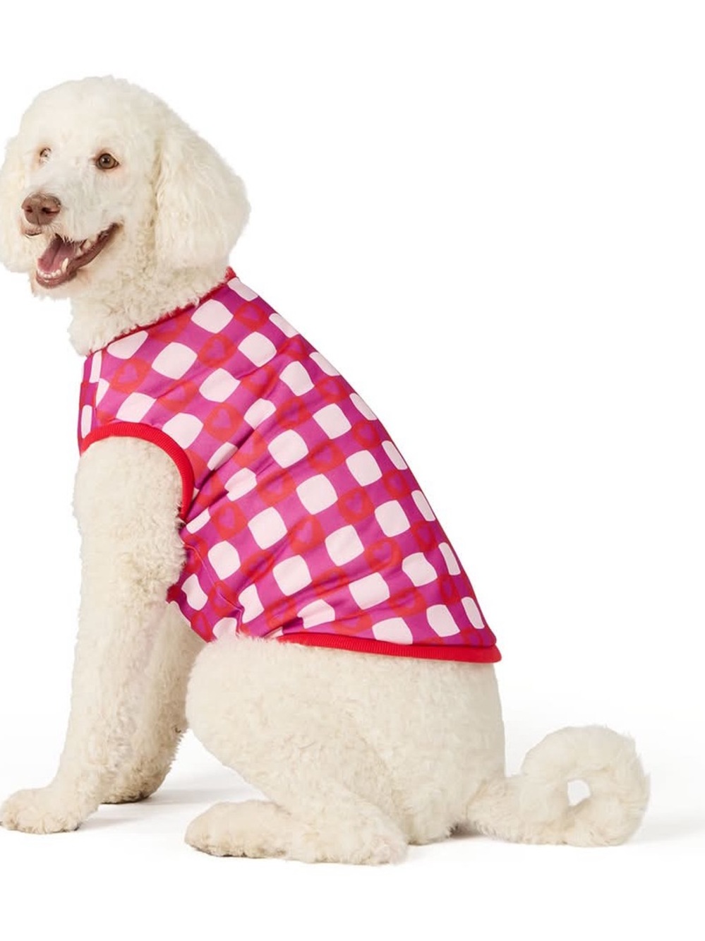 Top Paw Sweater